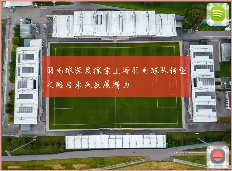 羽毛球深度探索上海羽毛球队转型之路与未来发展潜力