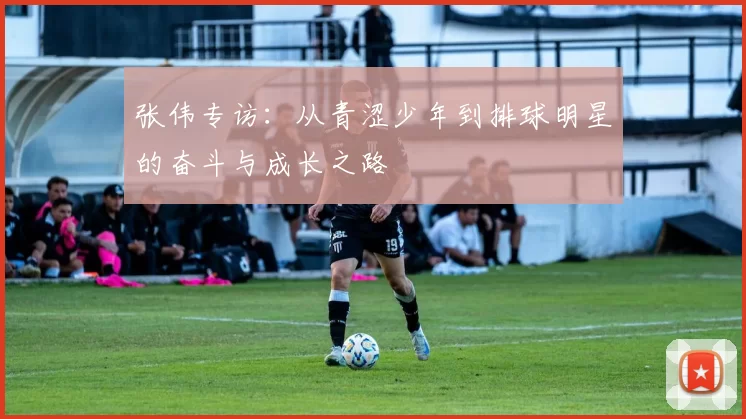 张伟专访：从青涩少年到排球明星的奋斗与成长之路