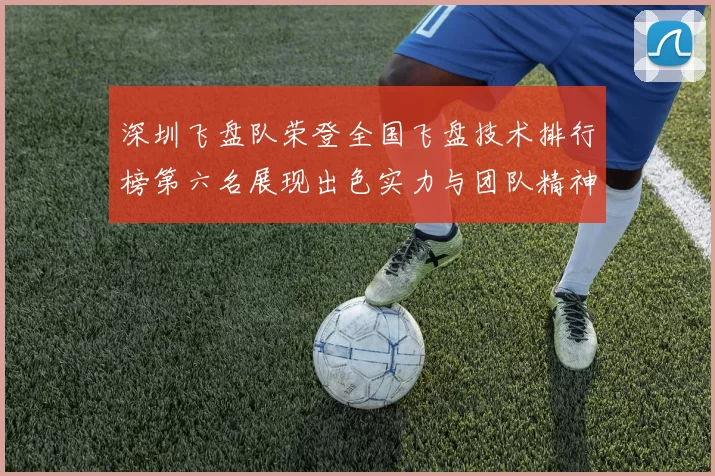 深圳飞盘队荣登全国飞盘技术排行榜第六名展现出色实力与团队精神