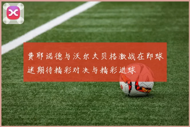 费耶诺德与沃尔夫贝格激战在即球迷期待精彩对决与精彩进球