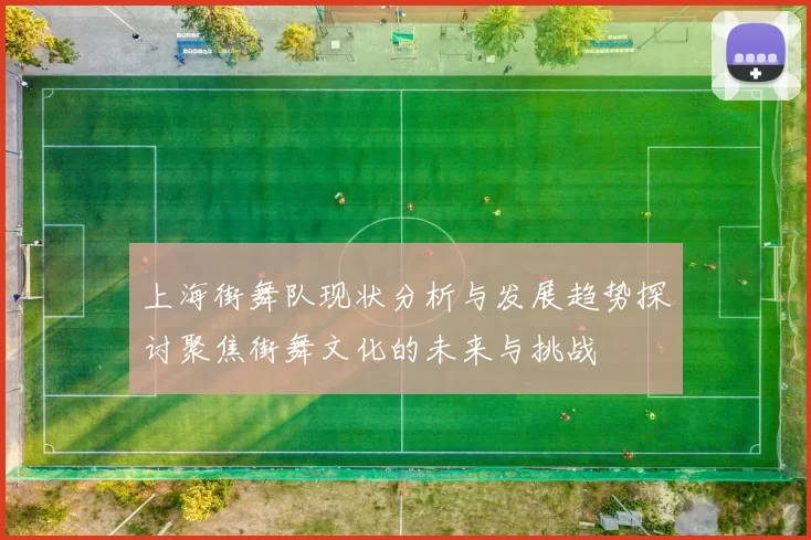 上海街舞队现状分析与发展趋势探讨聚焦街舞文化的未来与挑战