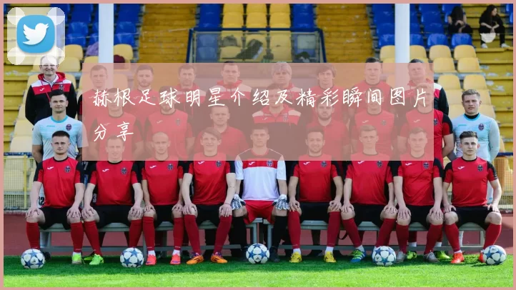 赫根足球明星介绍及精彩瞬间图片分享