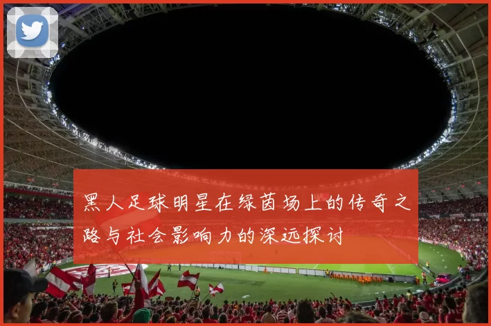 黑人足球明星在绿茵场上的传奇之路与社会影响力的深远探讨