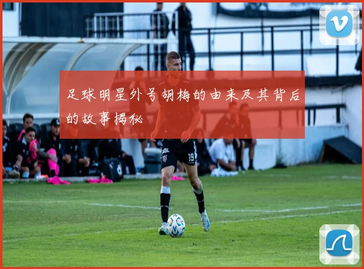 足球明星外号胡梅的由来及其背后的故事揭秘