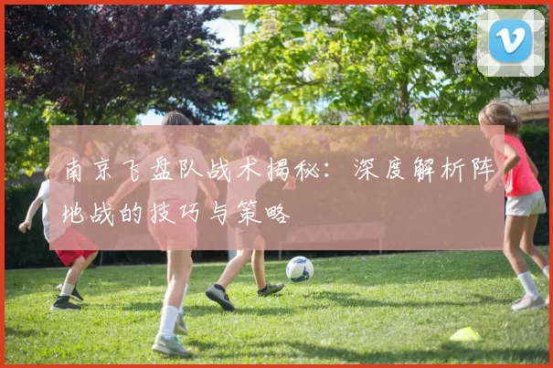 南京飞盘队战术揭秘：深度解析阵地战的技巧与策略