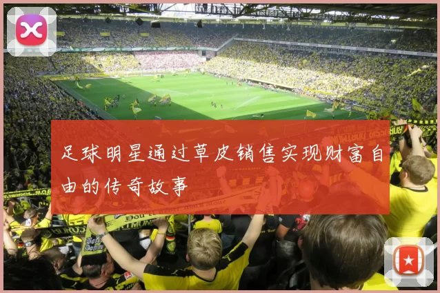 足球明星通过草皮销售实现财富自由的传奇故事