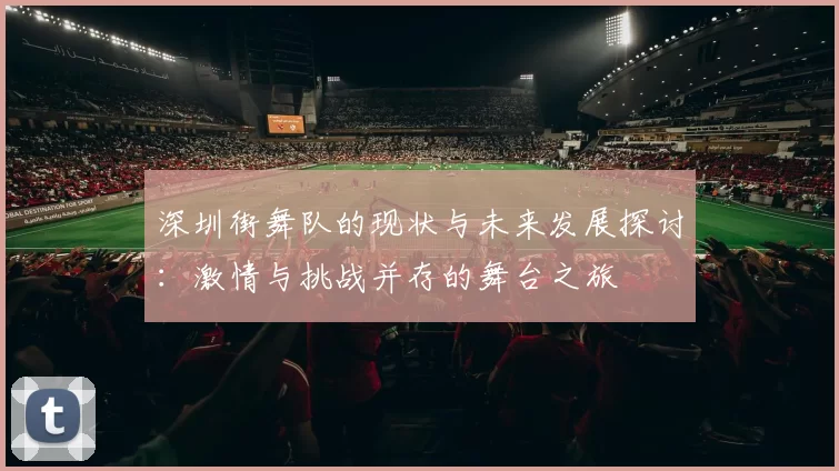 深圳街舞队的现状与未来发展探讨：激情与挑战并存的舞台之旅