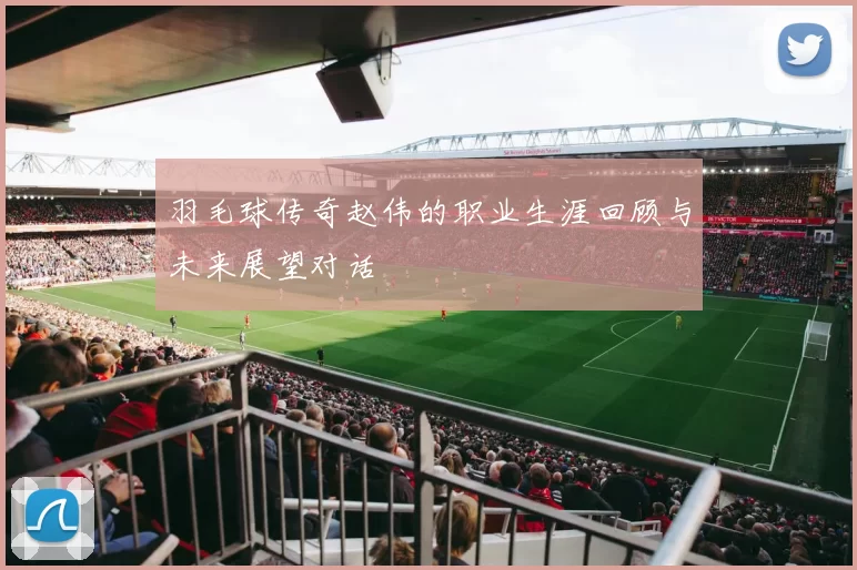 羽毛球传奇赵伟的职业生涯回顾与未来展望对话