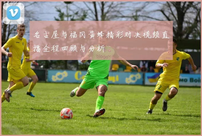 名古屋与福冈黄蜂精彩对决视频直播全程回顾与分析