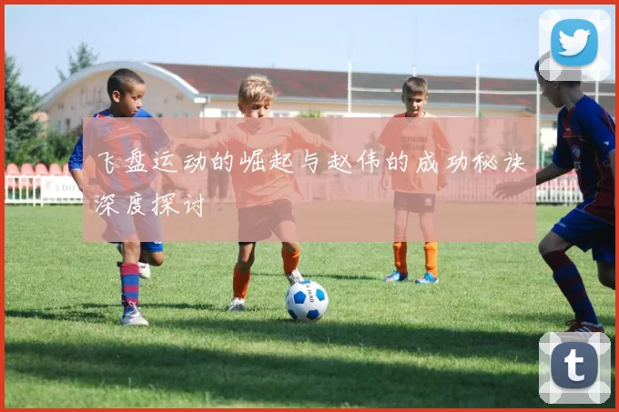 飞盘运动的崛起与赵伟的成功秘诀深度探讨