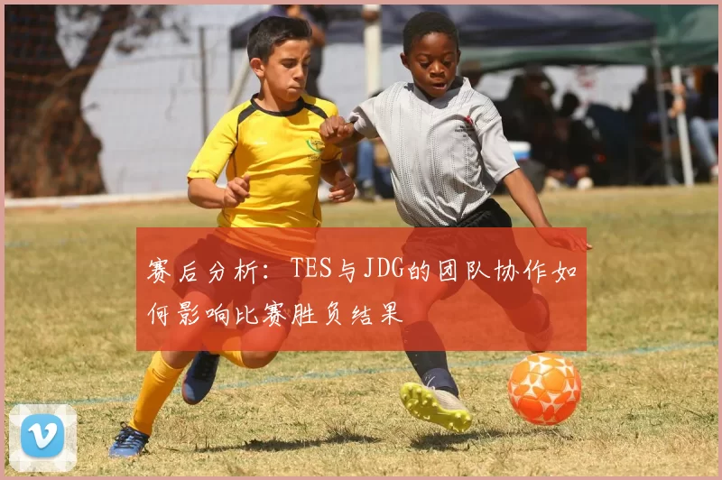 赛后分析：TES与JDG的团队协作如何影响比赛胜负结果