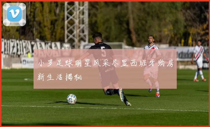 小罗足球明星风采尽显西班牙购房新生活揭秘